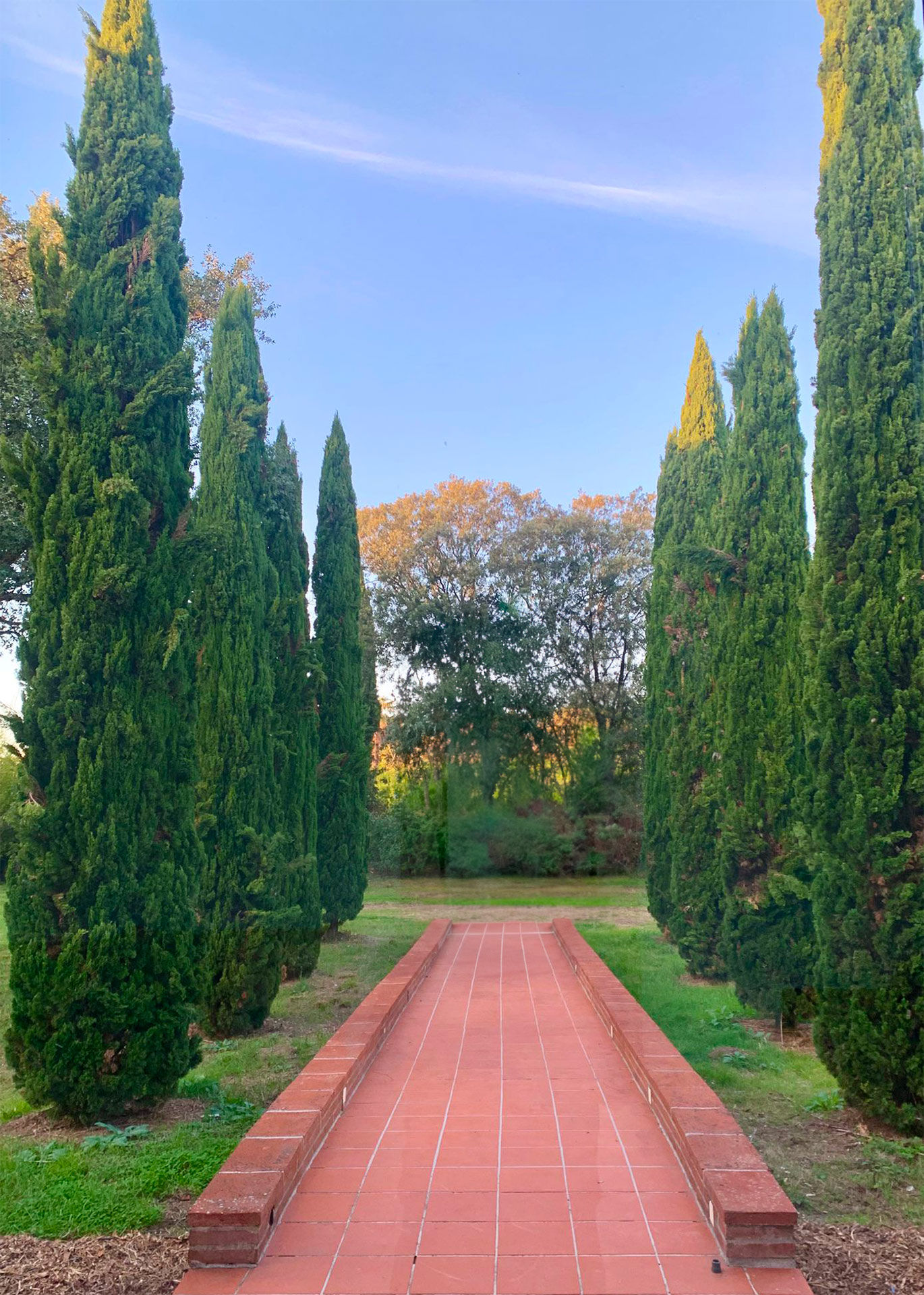 Nouveaux locaux d'Obazyne, à Blagnac